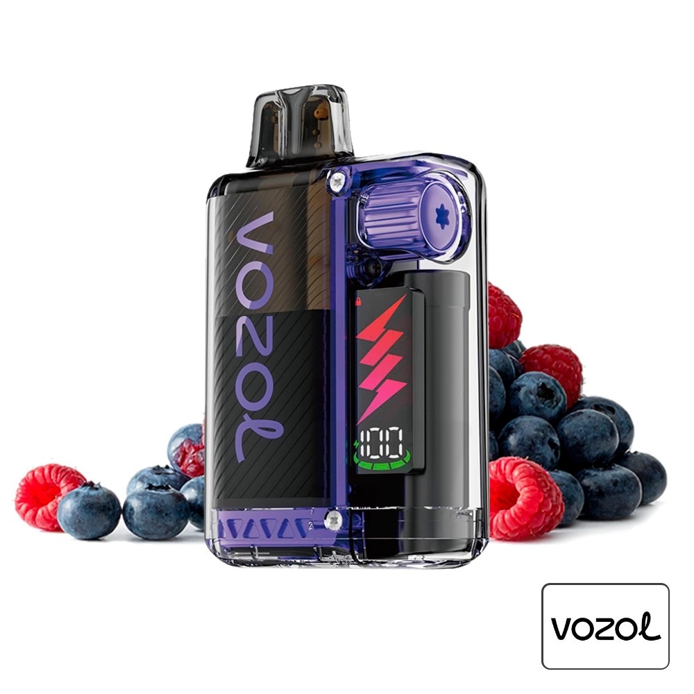 Pod Kit Vista Plug 2+10 Blueberry Sour Raspberry Vozol | Tapervaper Pod Kit Vista Plug 2+10 Blueberry Sour Raspberry Vozol