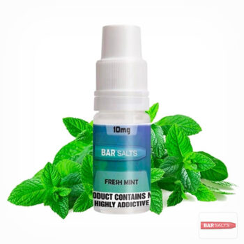 Fresh Mint Nicsalts 10ml – Bar