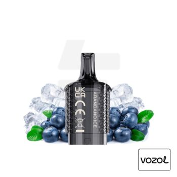 Cartucho Precargado Vista Plug 2+10 Arándano Ice 20mg Vozol