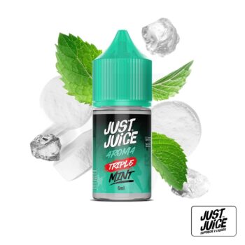 Aroma Mint Range Triple Mint 6ml (Longfill) – Just Juice
